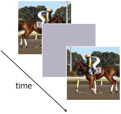 Relative Time Compression for Slow-Motion Stimuli through Rapid Recalibration